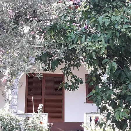 Apartment Baka Vinisce